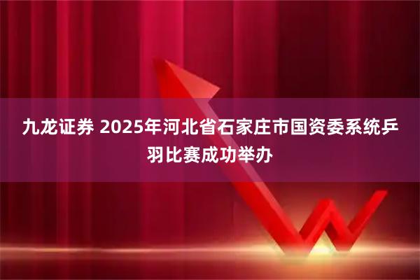 九龙证券 2025年河北省石家庄市国资委系统乒羽比赛成功举办