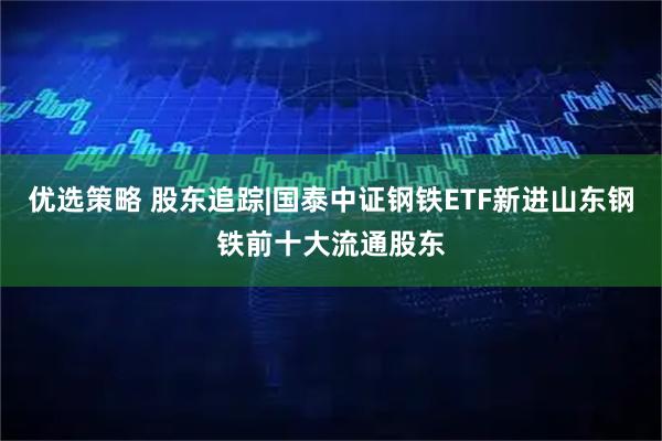 优选策略 股东追踪|国泰中证钢铁ETF新进山东钢铁前十大流通股东
